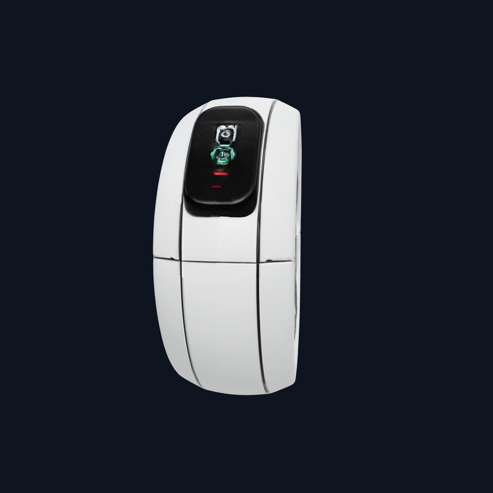 Smart Ring D Model Pack with PBR Textures